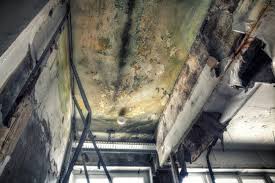 Best Comprehensive Air Testing for Mold Contaminants  in Crewe, VA